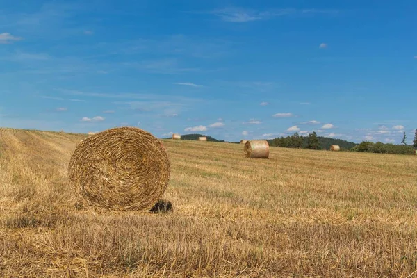 Straw bales on the stubble in the Czech Republic. Agricultural landscape, Harvest time. — Stock Photo, Image