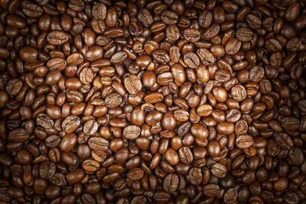 Coffee beans. Fresh roasted coffee. Sale of coffee.
