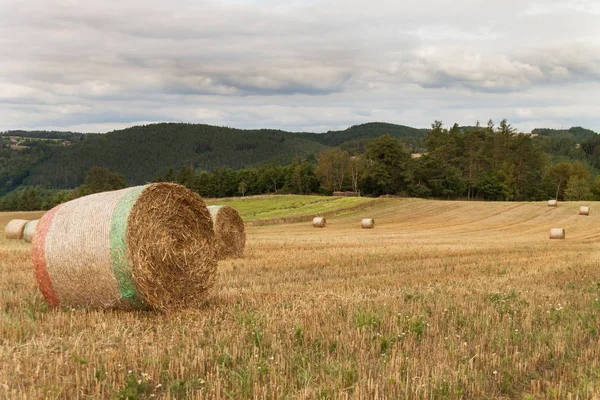 Trockene Strohpakete auf einem Feld in der Tschechischen Republik. Agrarlandschaft. Bewölkter Tag. — Stockfoto