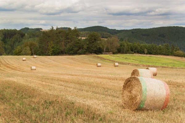 Pacotes de palha seca em um campo na República Checa. Paisagem agrícola. Dia nublado . — Fotografia de Stock