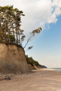 Baltık Denizi kıyısında. Sahilde soğuk sonbahar sabahı. Toprak erozyonu. Deniz kıyısı.