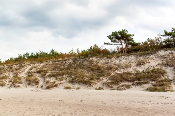 Costa do Mar Báltico. Manhã fria de outono na praia. Erosão do solo. Mar Báltico . — Fotografia de Stock