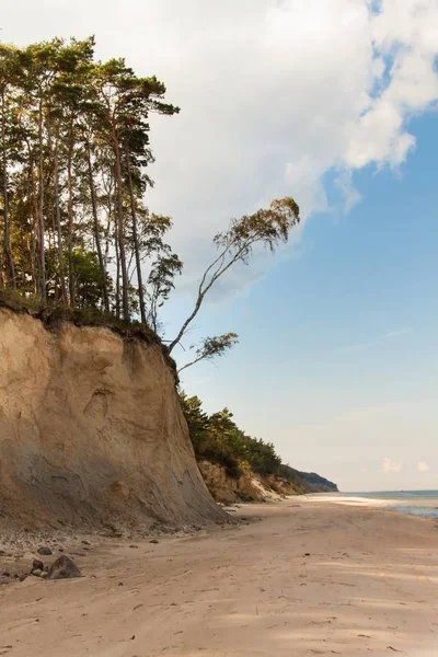 Baltık Denizi kıyısında. Sahilde soğuk sonbahar sabahı. Toprak erozyonu. Deniz kıyısı.