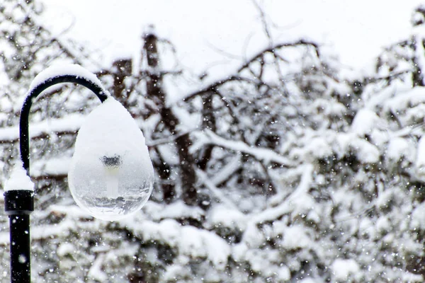 Snöiga gatlykta i snow blizzard. Moderna ekologiska belysning. Vinter humör. — Stockfoto