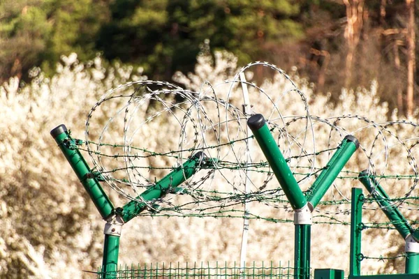 Fence with razor barbed wire. Guarded area. Military base. Razor wire. — Stock Photo, Image