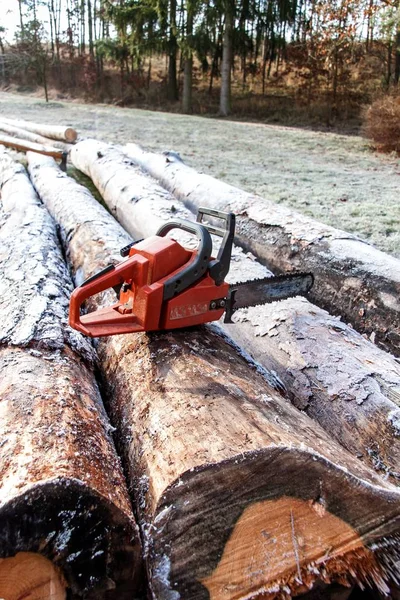 Cutting wood for heating. Work in forest. Pine trunks on meadow. Preparing for winter. — ストック写真