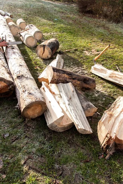 Corte de madeira para aquecimento. Trabalho na floresta. Troncos de pinheiro no prado. Preparação para o inverno . — Fotografia de Stock