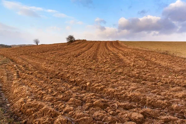 Fryst plöjningsfält. Frost på jordbruksmark. Vinter utan snö. Fryst lera. — Stockfoto