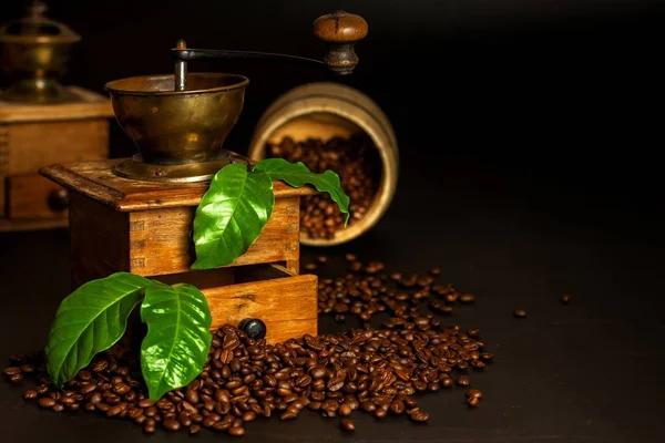 Koffiebonen en een houten molen. Oude koffiemolen. Gezond drinken. Gezond drinken. Gemalen koffie. — Stockfoto