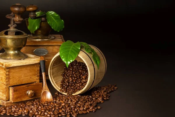 Кофейные зерна и деревянная мельница. Старые кофемолки. Здоровый напиток. Здоровый напиток. Шлифовальный кофе . — стоковое фото