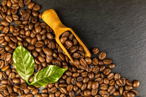 Kaffeebohnen auf Schieferteller. Kaffeeanbau. frische Kaffeebohnen. traditionelles Heißgetränk. Fairer Handel. — Stockfoto