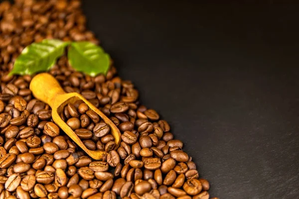 Kaffeebohnen auf Schieferteller. Kaffeeanbau. frische Kaffeebohnen. traditionelles Heißgetränk. Fairer Handel. — Stockfoto