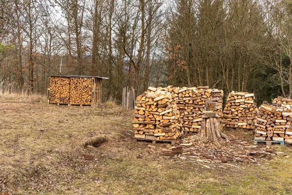 Preparation of firewood for the winter. Stacks of firewood in the forest in Czech Republic - Europe. Pile of firewood. — Stock Photo, Image