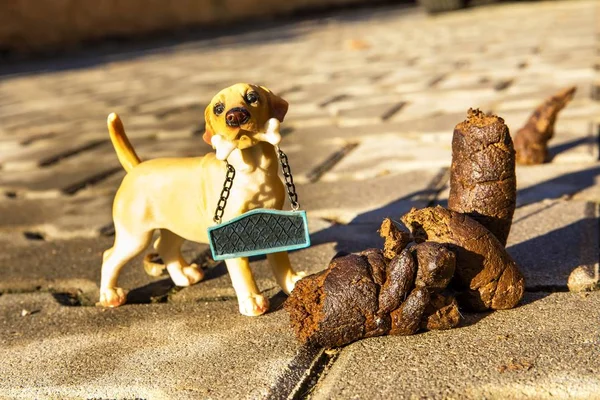 Excrement dog on floor. Shit on the street. Shit of dog on the street pavement. Concept of picking up dog waste shit, cleaning city urban environment — Stock Photo, Image