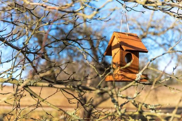 Vogelvoeder Aan Boom Tuin Vogelvoeder Hangt Aan Een Boom Voeren — Stockfoto