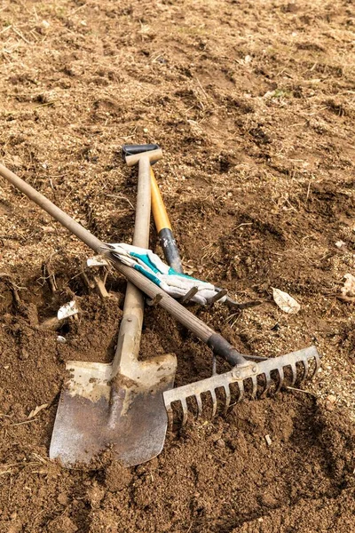 Spring garden work. Preparing the garden for planting vegetables. Gardener\'s tools. Spade, pitchfork and rake. Gardening.