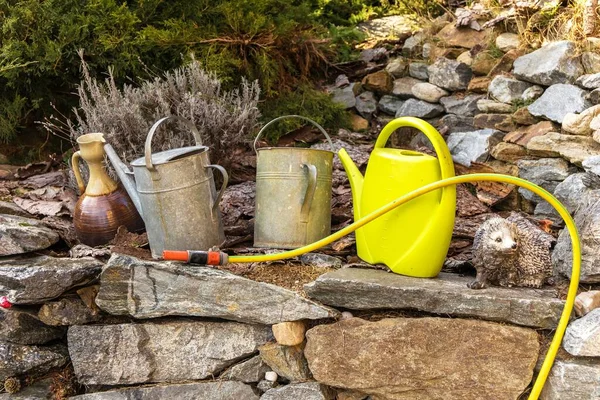 Watering Cans Watering Garden Gardener Tools Old Metal Watering Cans — Stock Photo, Image