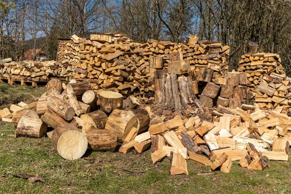 生態燃料だ パイル ウッドだ 薪のスタック 冬の薪の準備 — ストック写真