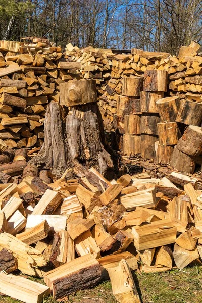 Ecological fuel. Pile wood. Stacks of Firewood. Preparation of firewood for the winter.