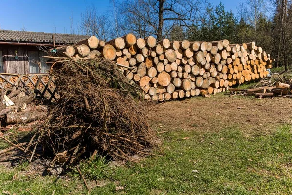 チェコの田舎で冬のための木の在庫 森の松やトウヒの木 丸太幹杭 木材産業 — ストック写真