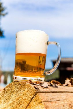 Ormanın yakınındaki odunların üzerinde bira olan kupa. Bardakta bira. Kırsalda soğuk içecek.