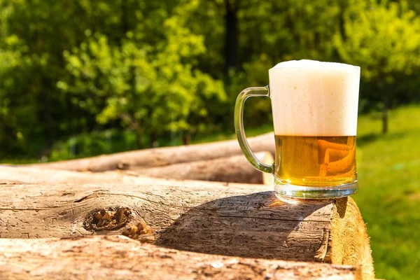 Bierkrug Auf Einem Holzstapel Der Nähe Des Waldes Bier Glas — Stockfoto