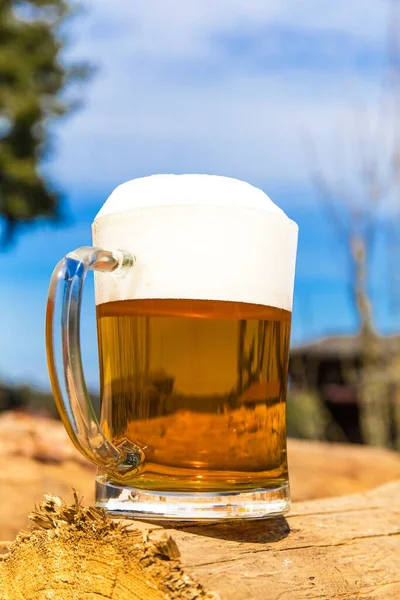 Caneca Com Cerveja Uma Pilha Troncos Perto Floresta Cerveja Num — Fotografia de Stock