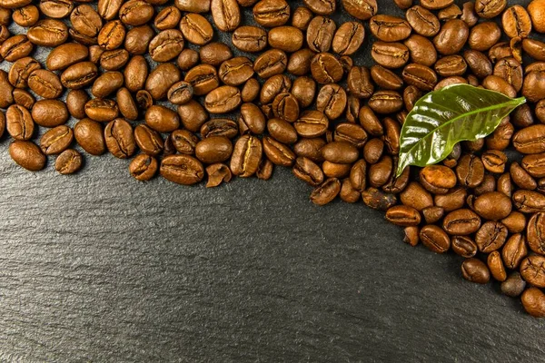 Coffee beans on a black background. Energy stimulant and smooth java concept. Coffee beans with leaves.