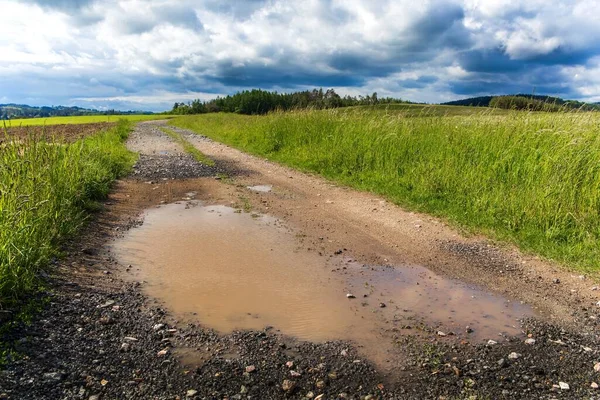 Pools of rainwater on a dirt road in the Czech countryside. Country road after the rain.