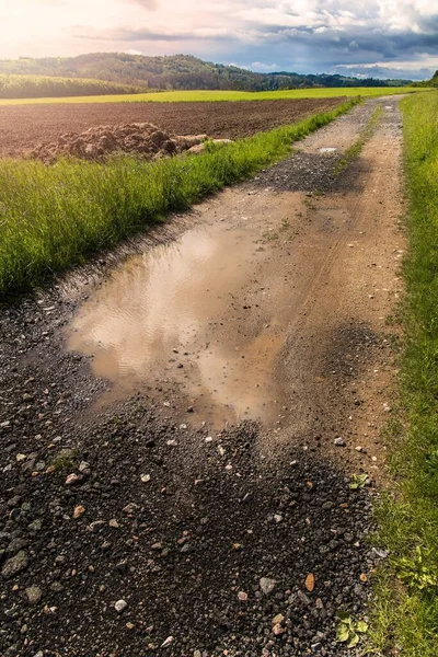 Pools of rainwater on a dirt road in the Czech countryside. Country road after the rain.