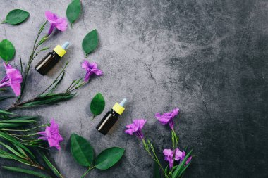 Doğal ve yeşil yapraklı doğal yağlar organik, düz yatıyor- Aroma