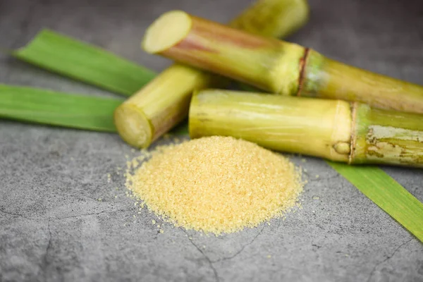 Sucre brun et canne à sucre sur fond de table gris — Photo