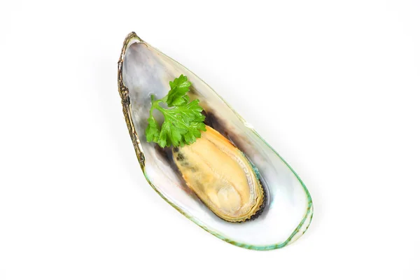 흰색 배경에 고립 된 홍합 - 녹색 홍합 껍질 — 스톡 사진