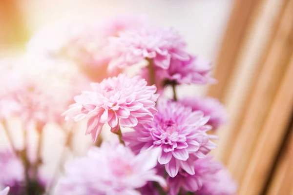 Primo piano di mazzo di fiori rosa crisantemo viola bella / C — Foto Stock