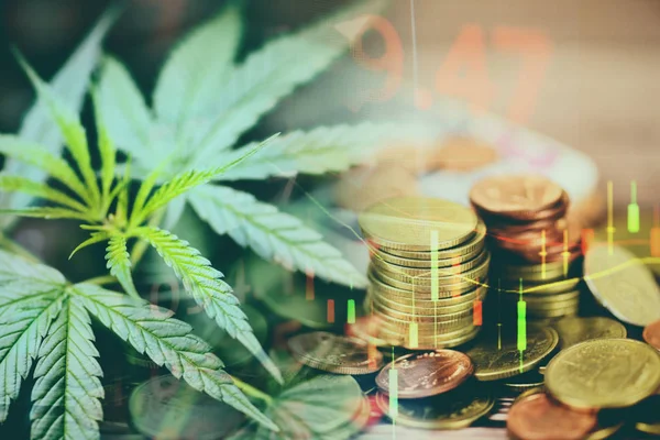 Business cannabis marijuana stock exchange market graph business — Stock Photo, Image