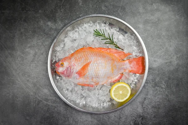 Świeże ryby na lodzie z ziołami przyprawy rozmaryn i cytryna / Raw fis — Zdjęcie stockowe