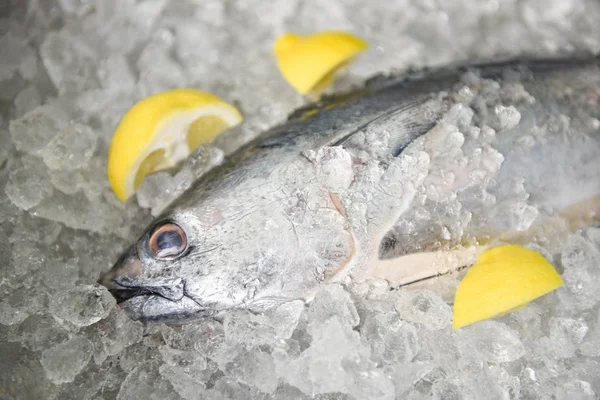 Frischer Fisch mit Zitrone auf dem Markt - roher Fisch Meeresfrüchte auf Eis — Stockfoto