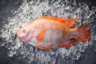 Piyasada taze balık var / Siyah üzerinde çiğ balık kırmızısı tilapia 