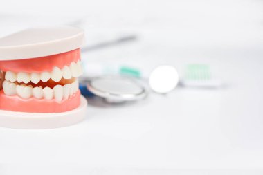 Diş bakımı kavramı - takma dişli dişçi araçları