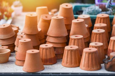 Çiçek saksısı fidanlık ağacında - Terracotta kil saksısı g