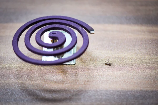 Conceito de repelente de mosquito / Burning mosquito coil é um anti mo — Fotografia de Stock