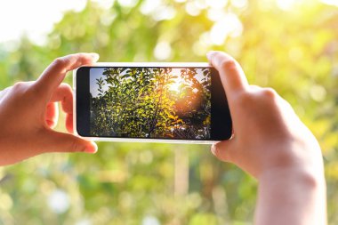 Kadın elinde akıllı telefon, doğa devinin fotoğrafını çekiyor.