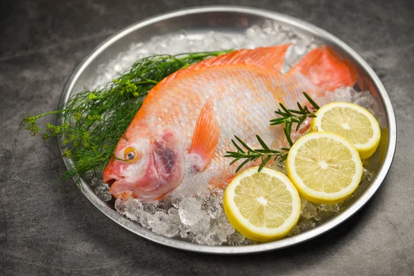 Φρέσκο ψάρι στον πάγο με μυρωδικά δενδρολίβανο και λεμόνι - Raw fis — Φωτογραφία Αρχείου