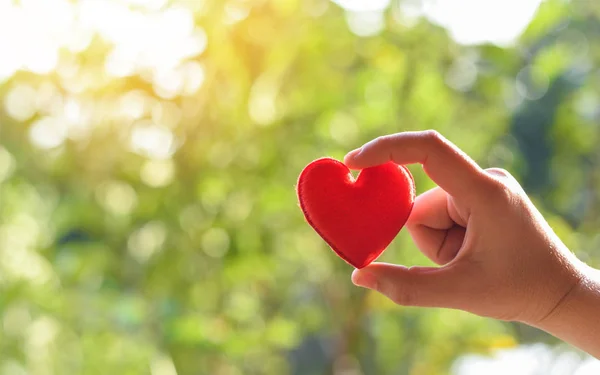Hayırseverlik kavramı için kalp elinde - kırmızı kalp tutan kadın — Stok fotoğraf