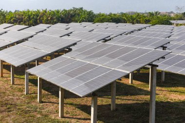 Güneş çiftliğindeki yeşil ağaç ve güneş panellerinin görüntüsü.