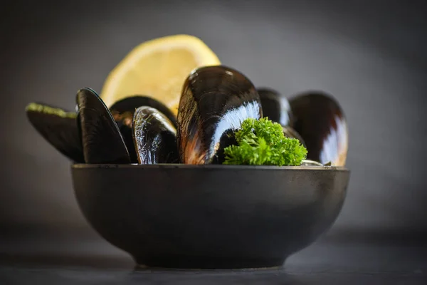 Nyers kagyló fűszernövényekkel citrom tálon és sötét háttér - Friss — Stock Fotó