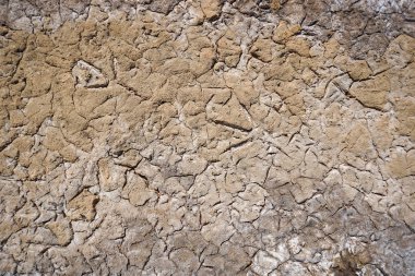 Birds footprints on sand beach or soil dry mud in sunny day /