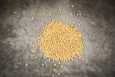 Siyah arka planda soya fasulyesi - kuru soya fasulyesi tarım ürünü