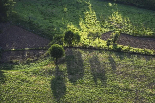 View from above with tree in the countryside asian - Aerial view — ストック写真