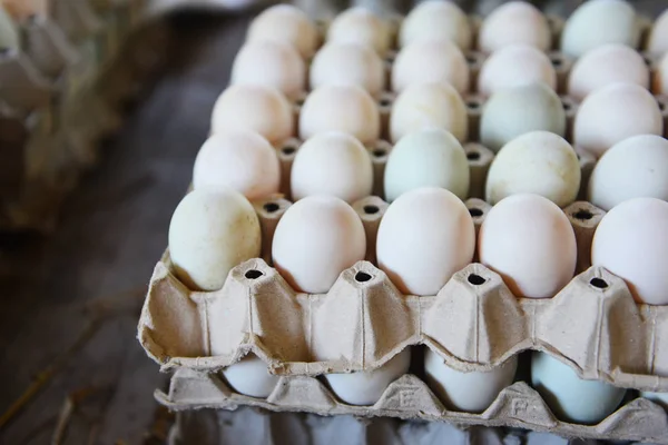 Verse eieren witte eend eierdoos - produceren eieren vers van de boerderij — Stockfoto